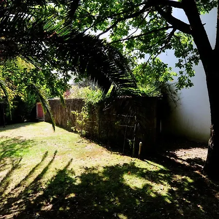 Guestready - Casa De Santa Luzia بيت للعطل *